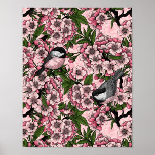 Cherry blossom and chickadees on pink poster