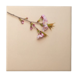 Cherry Blossom and Daisy Background Tile