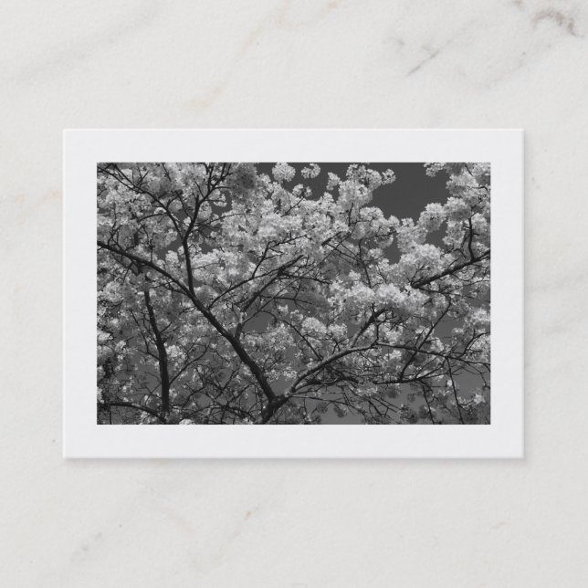 Cherry Blossom B&W (Bordered) Business Card (Front)