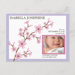 Cherry Blossom Baby Girl Birth Announcement: lilac Announcement Postcard