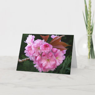 Cherry Blossom Blank Greetings Card