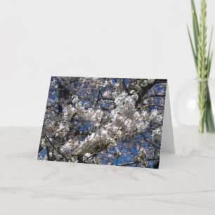 Cherry Blossom Blank notecard