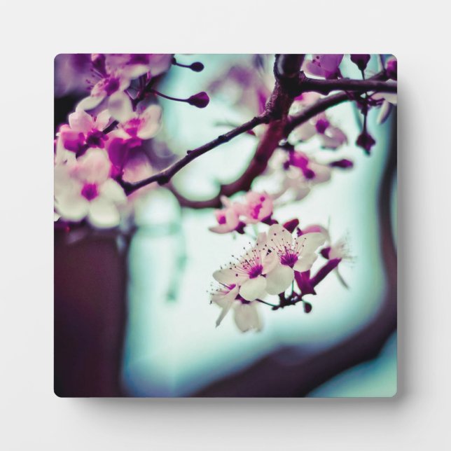 Cherry Blossom Branch Plaque (Front)