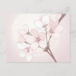 Cherry Blossom Branch Soft Minimalist Japanese Postcard