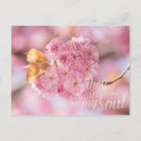 Cherry Blossom Branch Spring Text
