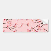 Cherry Blossom