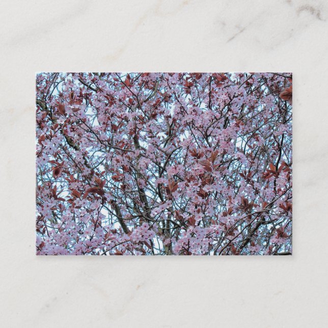 Cherry Blossom Business Card (Front)