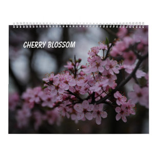 Cherry Blossom Calendar
