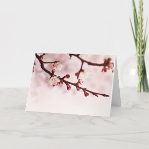 Cherry Blossom Card