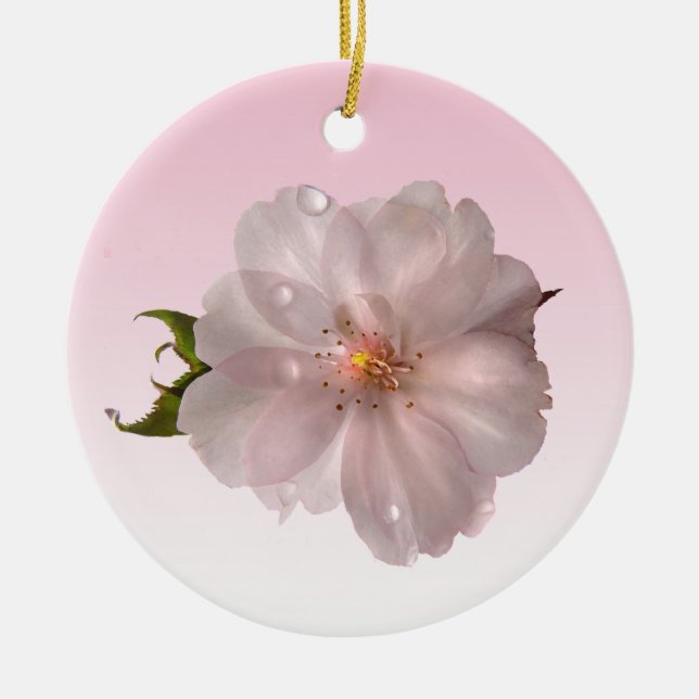 Cherry Blossom Ceramic Tree Decoration (Front)