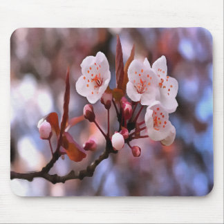 Cherry Blossom Cluster With A Pink and Blue Mouse Pad