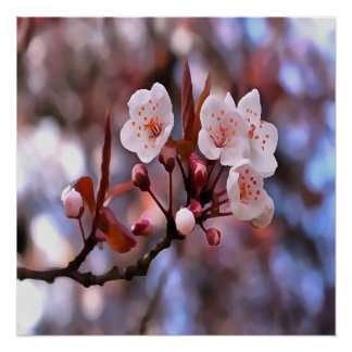 Cherry Blossom Cluster With A Pink and Blue Poster