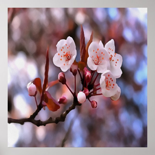 Cherry Blossom Cluster With A Pink and Blue  Poster (Front)