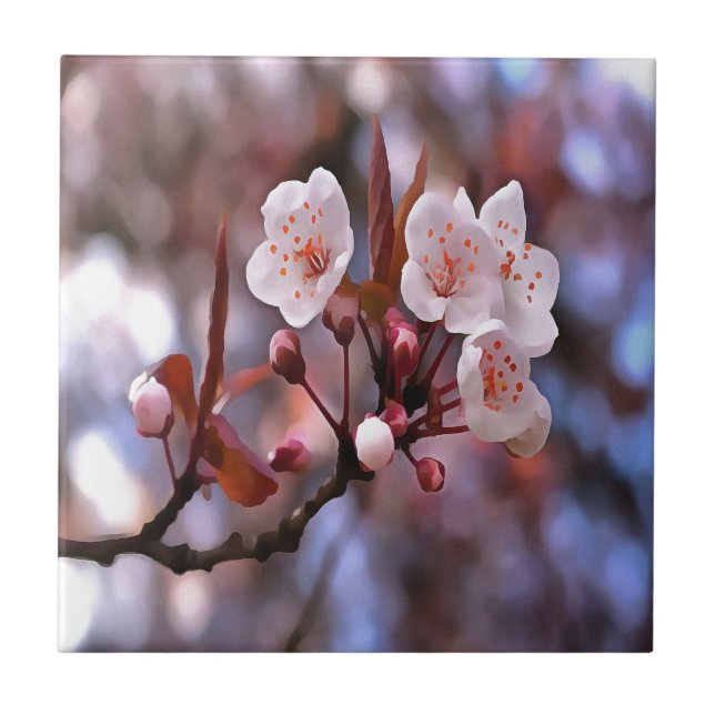 Cherry Blossom Cluster With A Pink and Blue  Tile (Front)