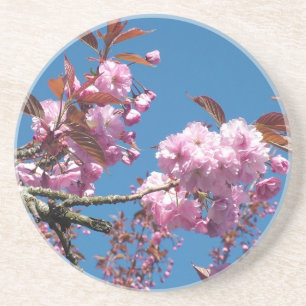 Cherry Blossom Coaster