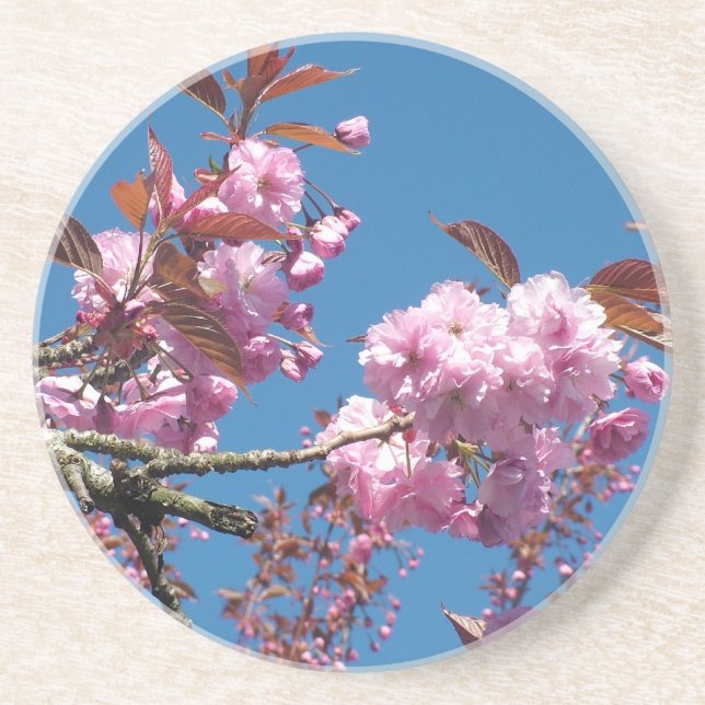 Cherry Blossom Coaster (Front)
