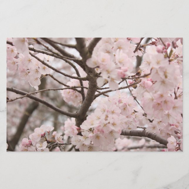 Cherry Blossom Craft Paper (Front)