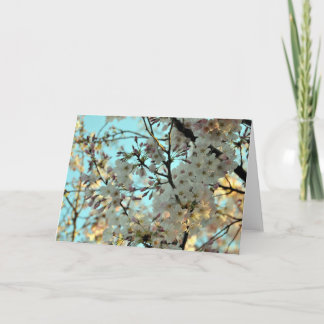 Cherry Blossom Design Card