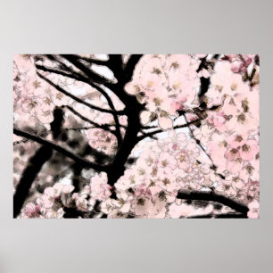 Cherry Blossom Edited Poster