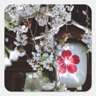 Cherry Blossom Festival in Kyoto Square Sticker
