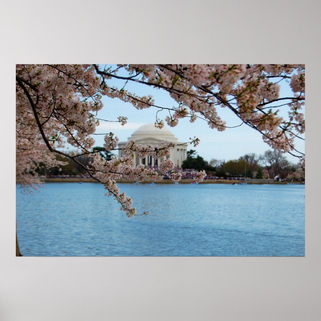 Cherry Blossom Festival & Jefferson Memorial Poster (Front)