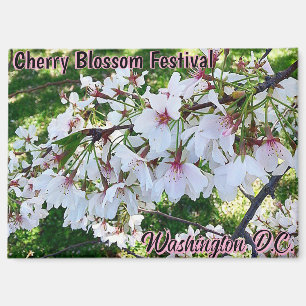 Cherry Blossom Festival Washington D.C. Magnet