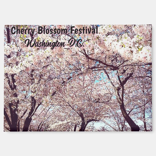  Cherry Blossom Festival Washington D.C Souvenir Magnet (Front)
