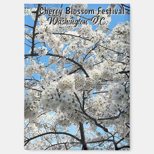 Cherry Blossom Festival Washington D.C. Souvenir Magnet