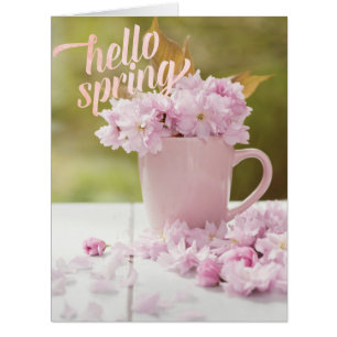Cherry Blossom Flower Floral Stilllife Spring Text