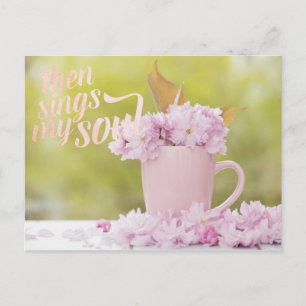 Cherry Blossom Flower Floral Stilllife Spring Text Postcard