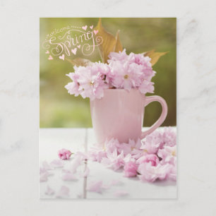Cherry Blossom Flower Floral Stilllife Spring Text Postcard