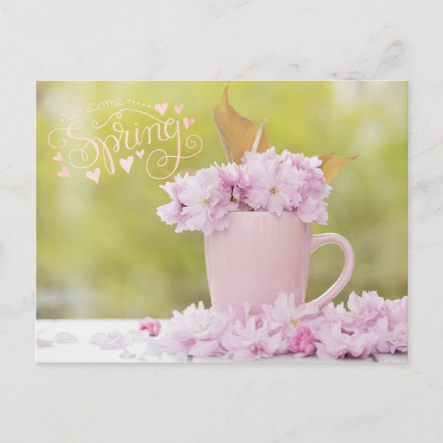 Cherry Blossom Flower FloralStilllife Spring Text Postcard (Front)