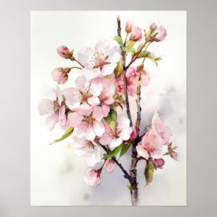 Cherry Blossom Flowers Art Print Poster