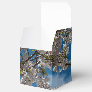 cherry blossom flowers in blue sky. favour box