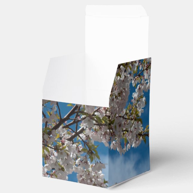 cherry blossom flowers in blue sky. favour box (Opened)