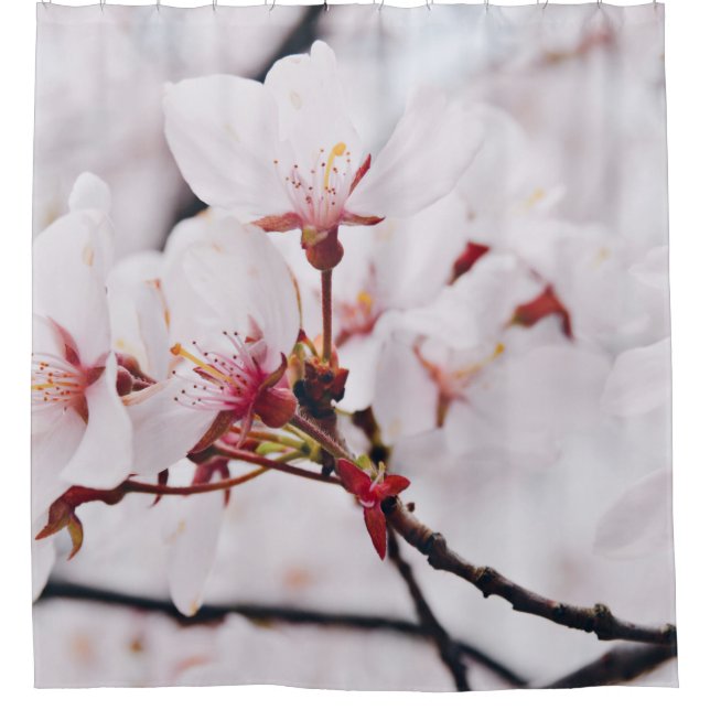 CHERRY BLOSSOM FLOWERS IN MACRO SHOT SHOWER CURTAIN (Front)