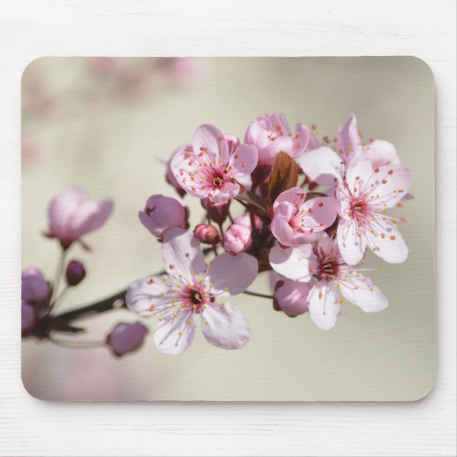 Cherry Blossom Flowers Mouse Pad (Front)
