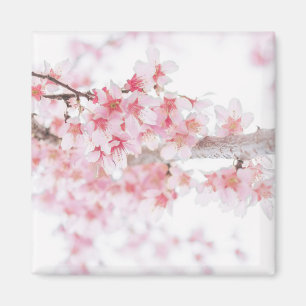 CHERRY BLOSSOM FRIDGE MAGNET