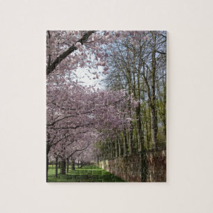 Cherry Blossom Garden Jigsaw Puzzle