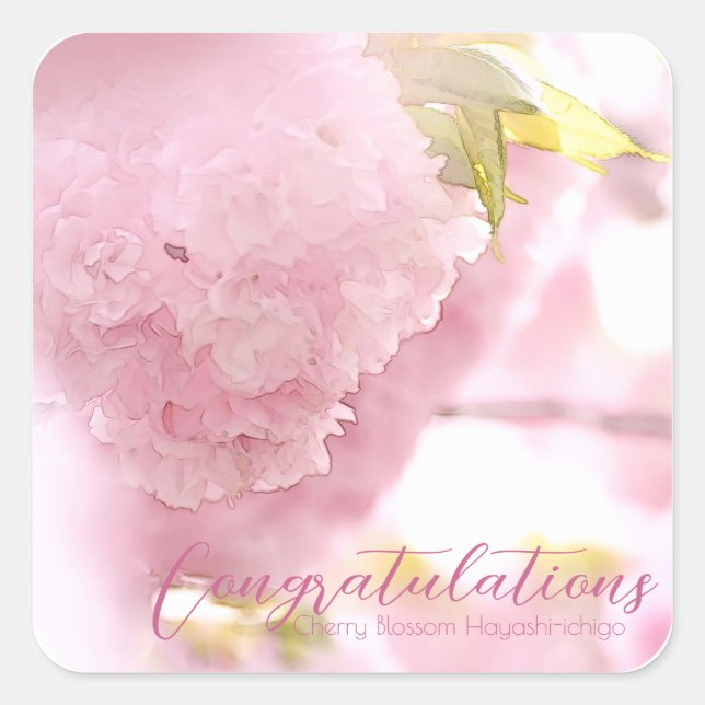 Cherry Blossom "Hayashi-ichigo" スクエアシール Square Sticker (Front)