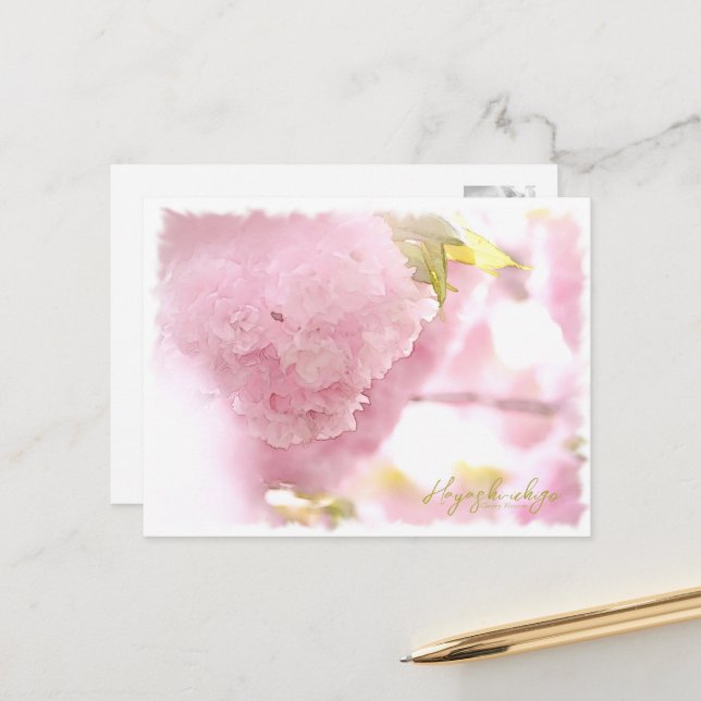 Cherry Blossom "Hayashi-ichigo" ポストカード Postcard (Front/Back In Situ)