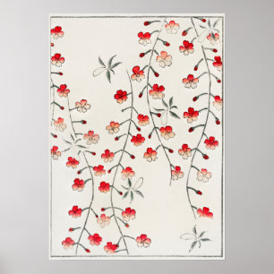 Cherry blossom illustration. Digitally enhanced Poster