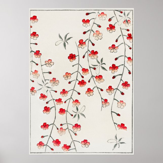 Cherry blossom illustration. Digitally enhanced Poster (Front)