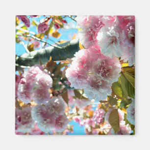 Cherry Blossom Impression Magnet