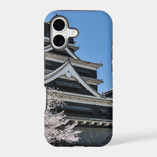 Cherry Blossom In Japan