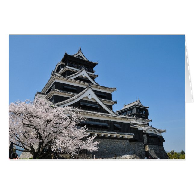 Cherry Blossom In Japan (Front Horizontal)