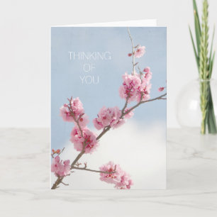 Cherry Blossom in the Sky Thinking of you Card