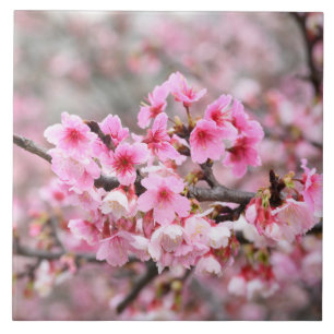 Cherry blossom Japan floral pink pretty unique Cer Tile
