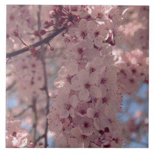 Cherry blossom Japan floral pink pretty unique Tile