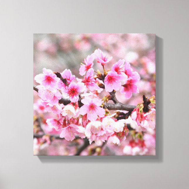 Cherry blossom Japanese floral pink sakura Flowers Canvas Print (Front)